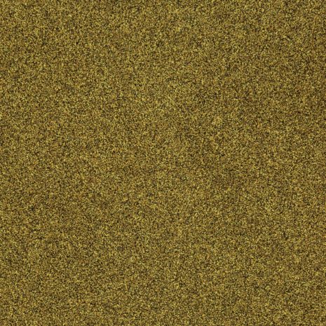 origin-33207-gorse origin-33207-gorse